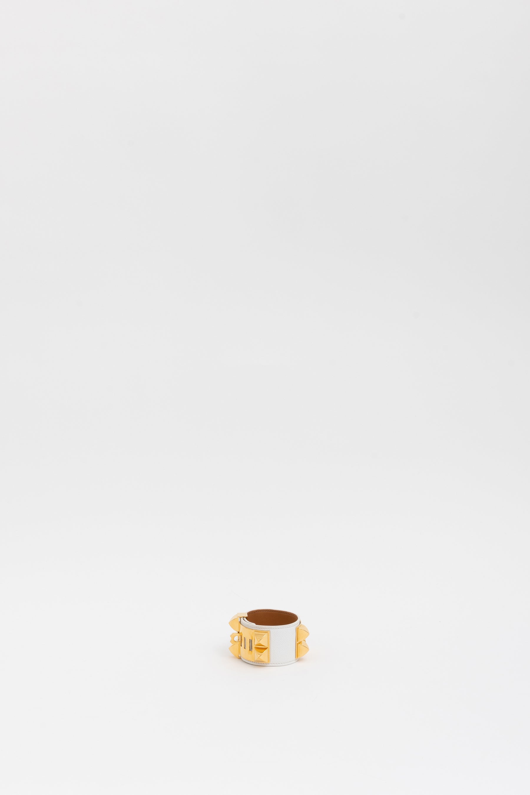 Collier de Chien Bracelet