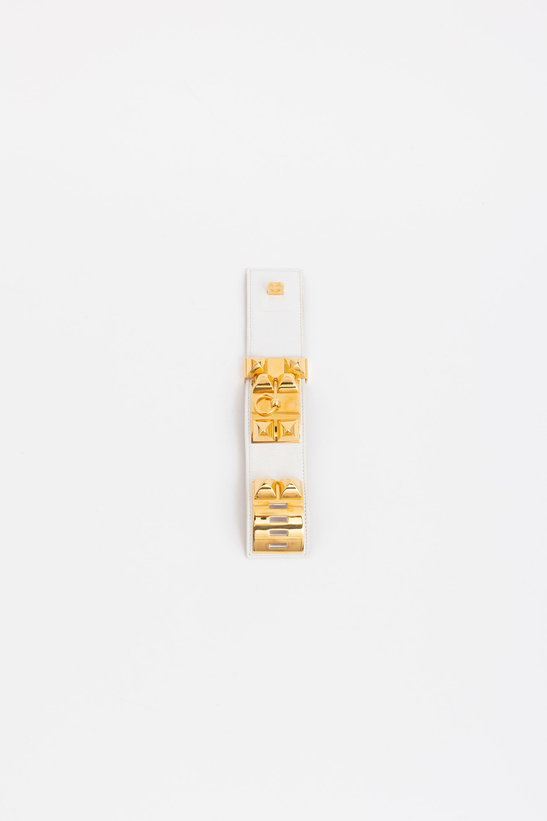 Collier de Chien Bracelet