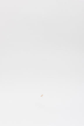 Farandole Earrings