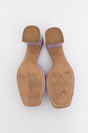 VLogo Signature Mules