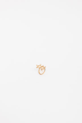 Chandra Ring