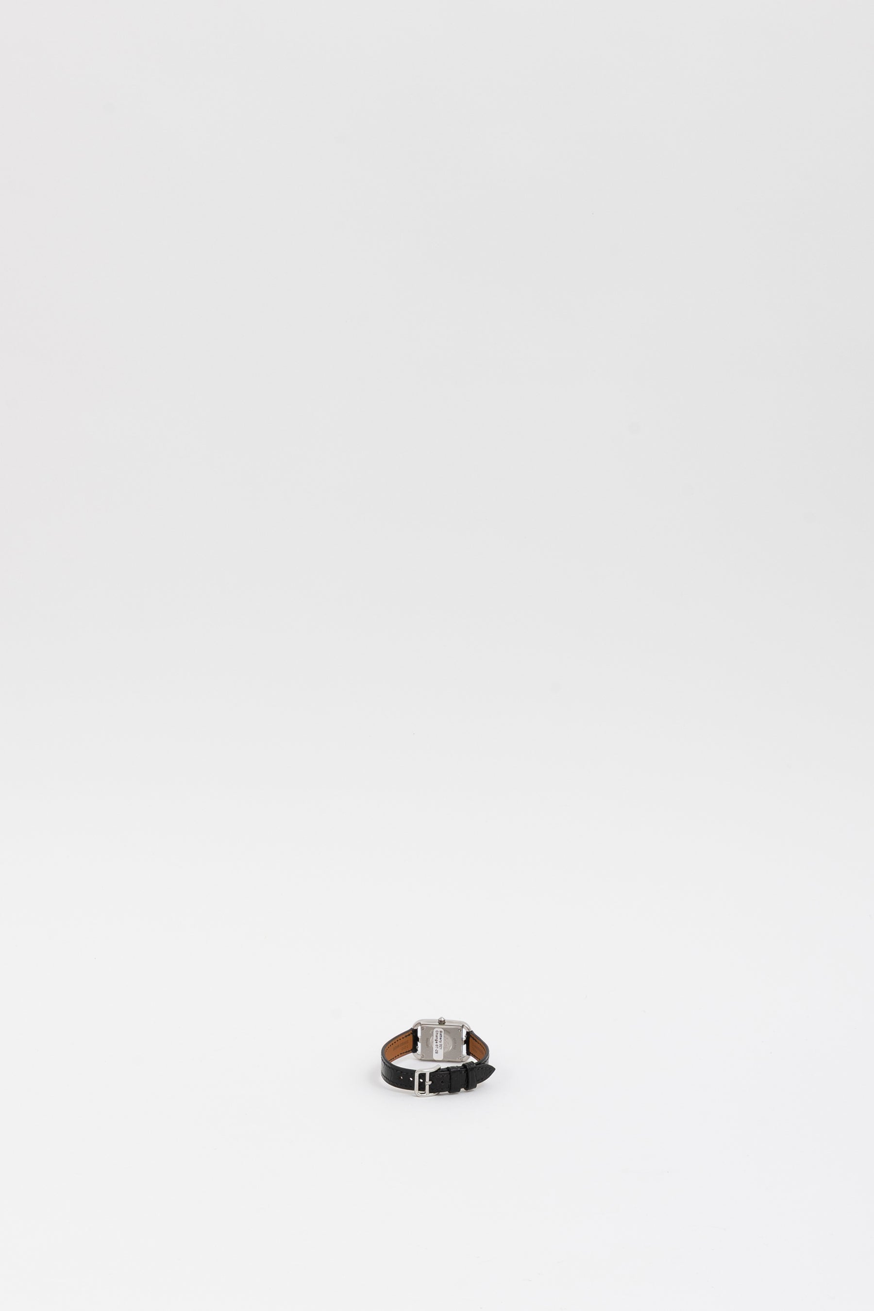 Mini Cape Cod Watch