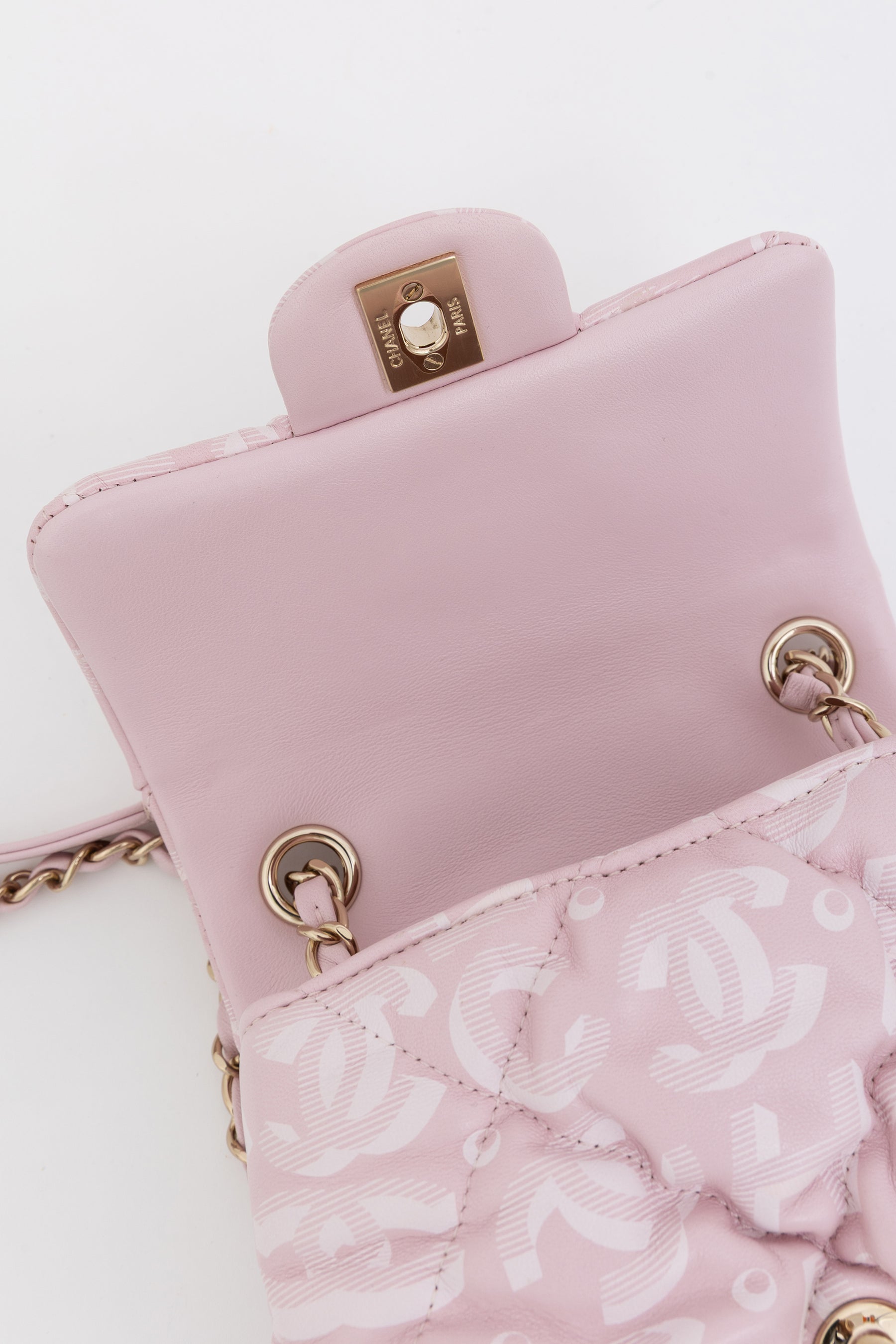 Coco Neige Mini Flap Bag