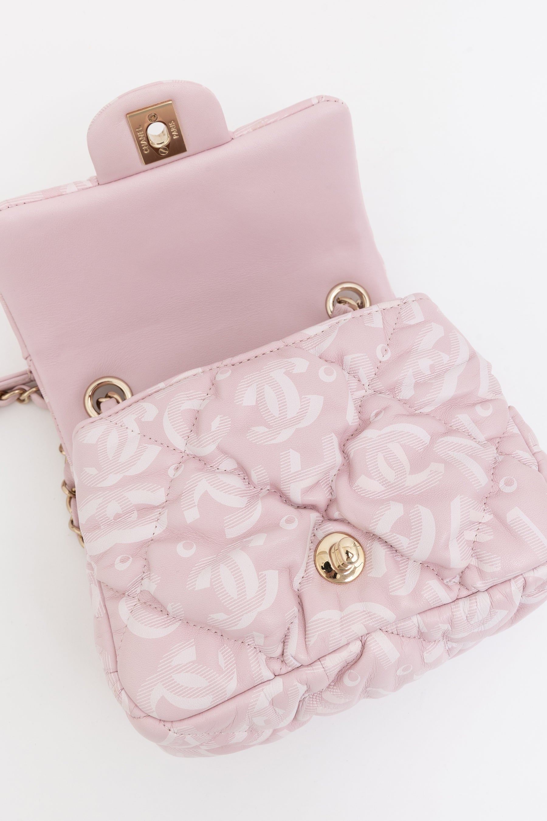 Coco Neige Mini Flap Bag