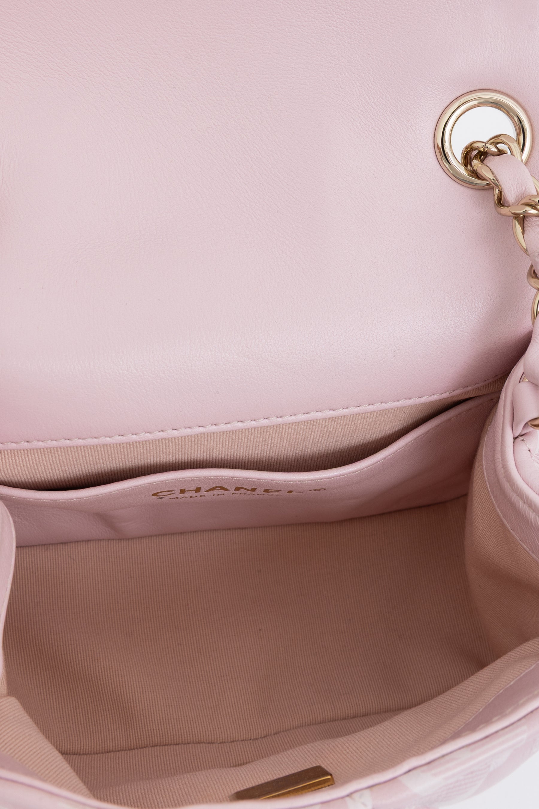 Coco Neige Mini Flap Bag