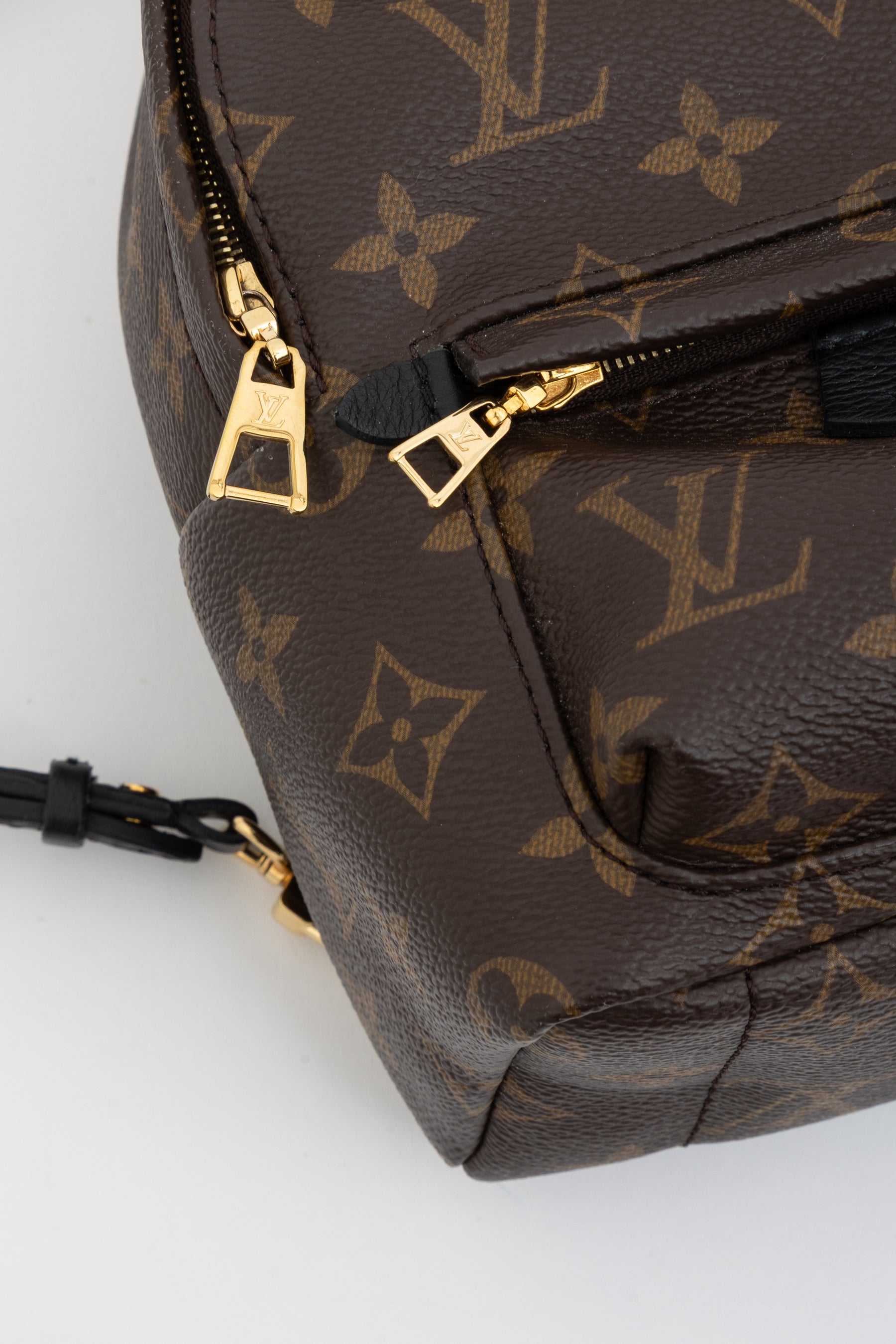 Palm Springs Mini Backpack