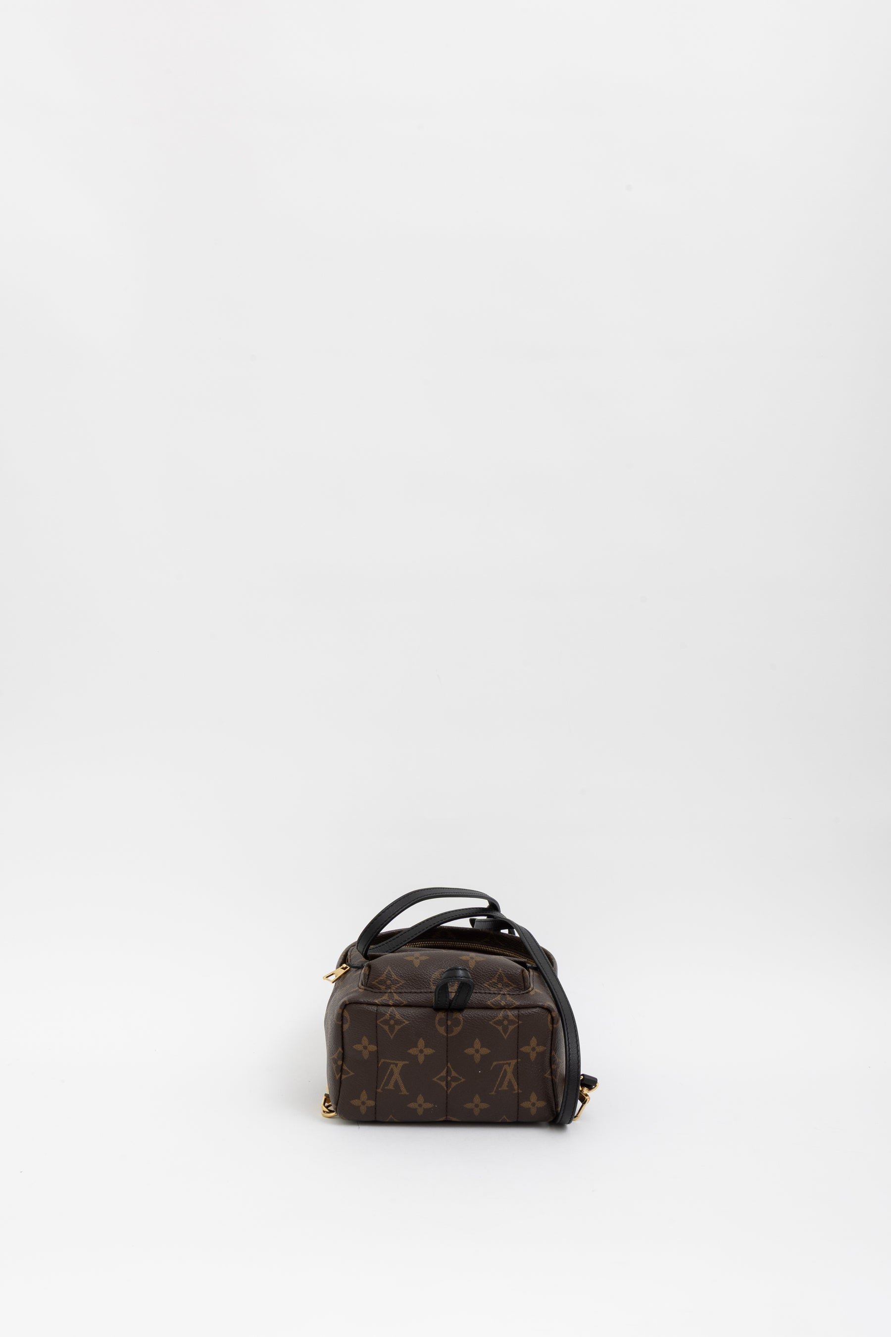 Palm Springs Mini Backpack