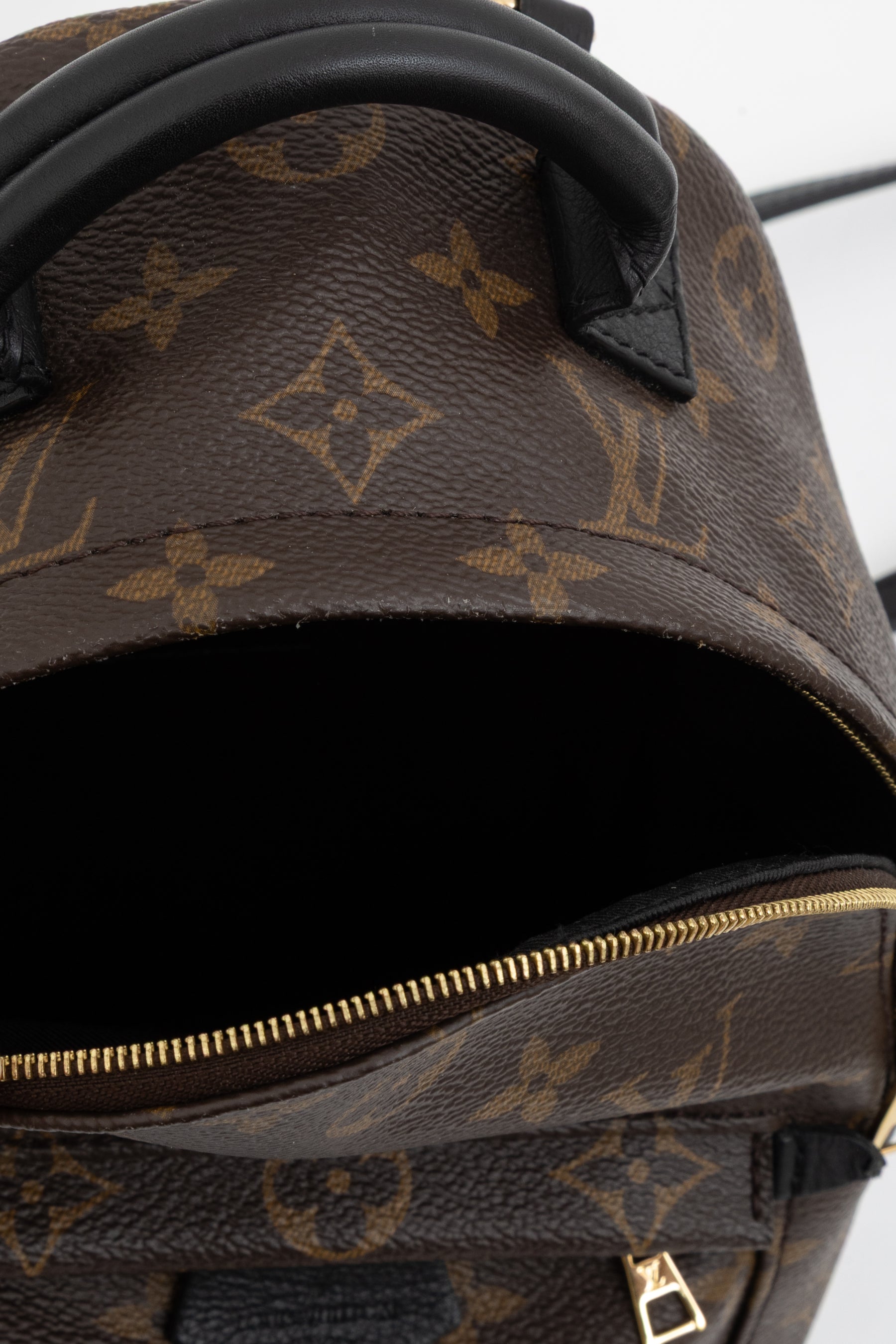 Palm Springs Mini Backpack