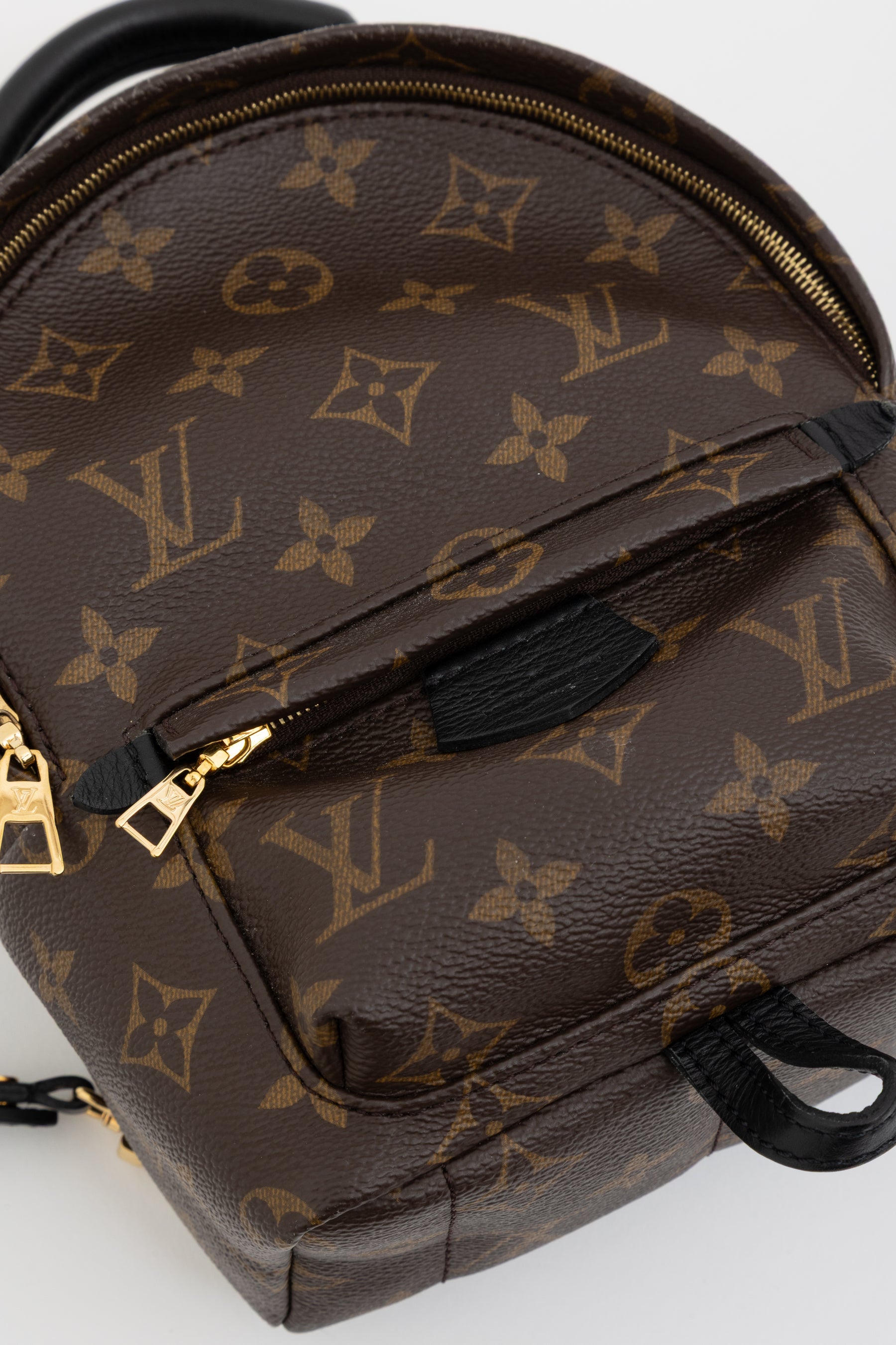 Palm Springs Mini Backpack