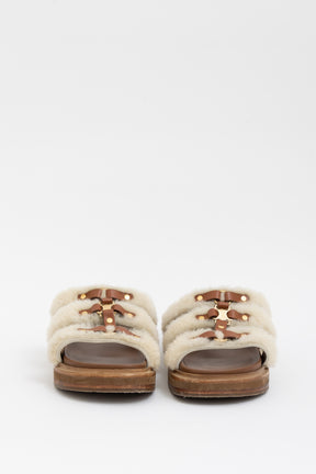 Tippi Slides
