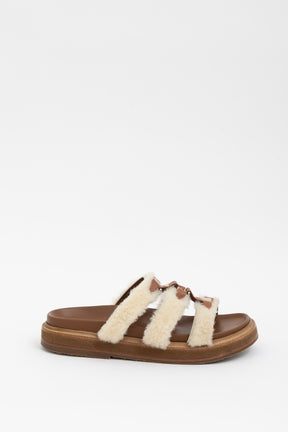 Tippi Slides