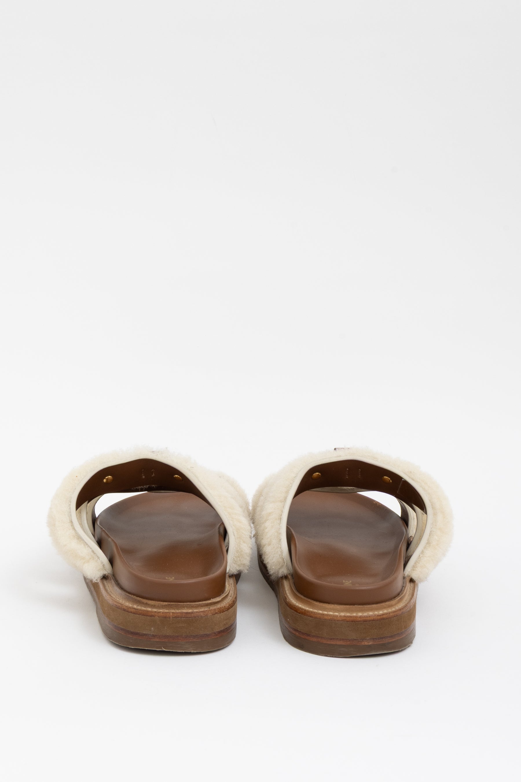 Tippi Slides