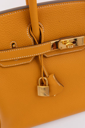 Birkin 30 Retourne in Togo Leather
