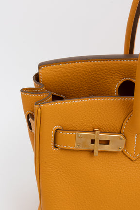 Birkin 30 Retourne in Togo Leather