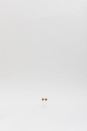 Rose Stud Earrings