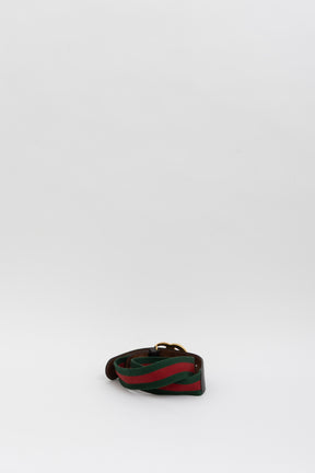 Web Accent Double G Belt