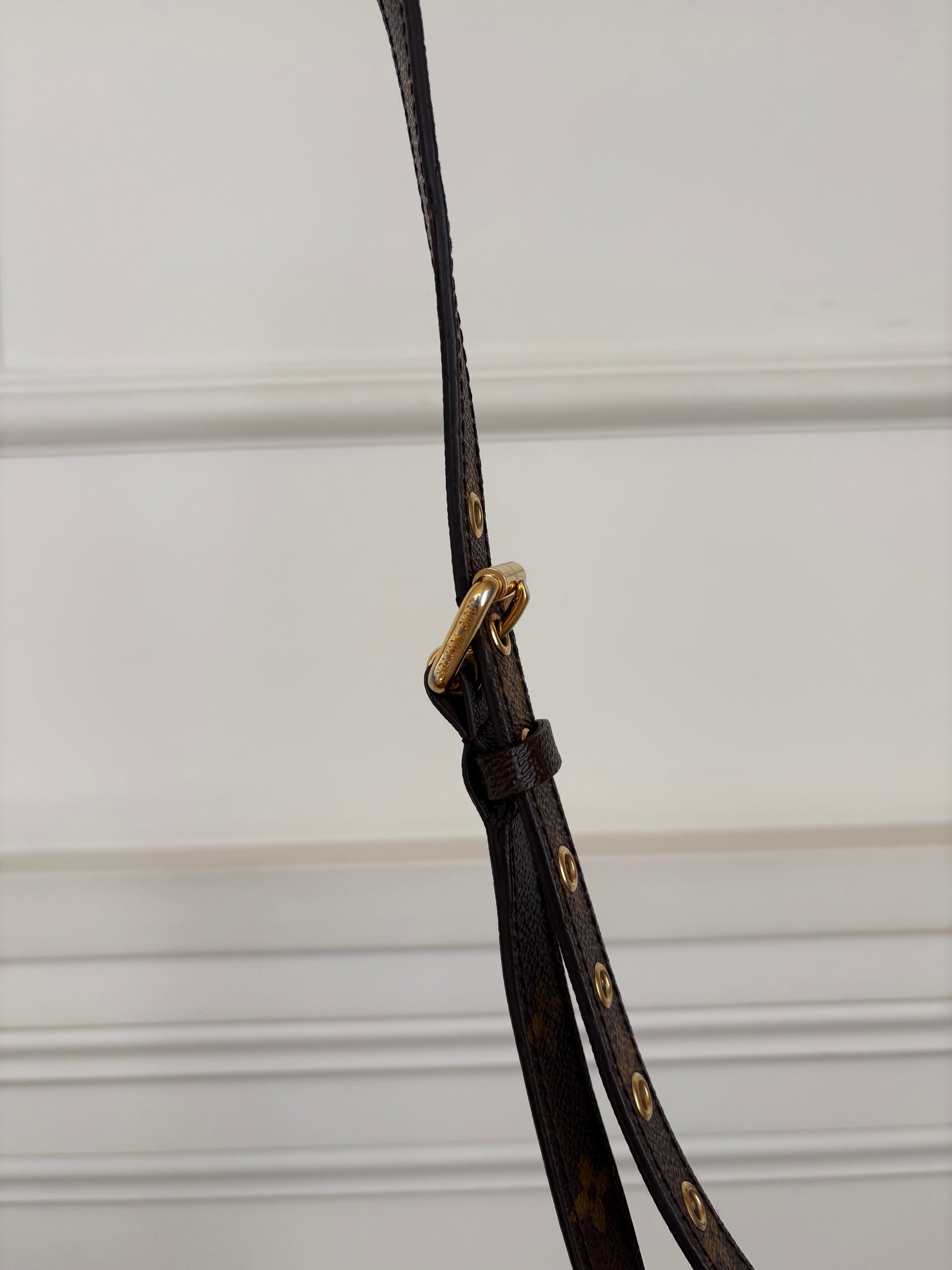 Louis Vuitton Canvas Monogram Pochette Metis