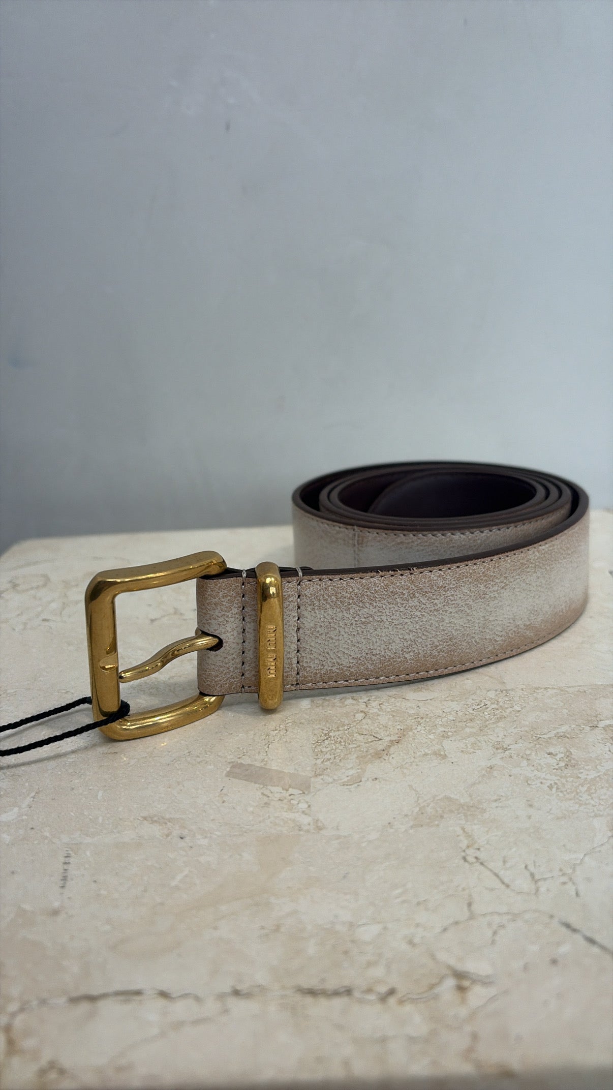 Miu Miu Distressed Beige Finish And Gold Tone Engraved Hardware, 32/80