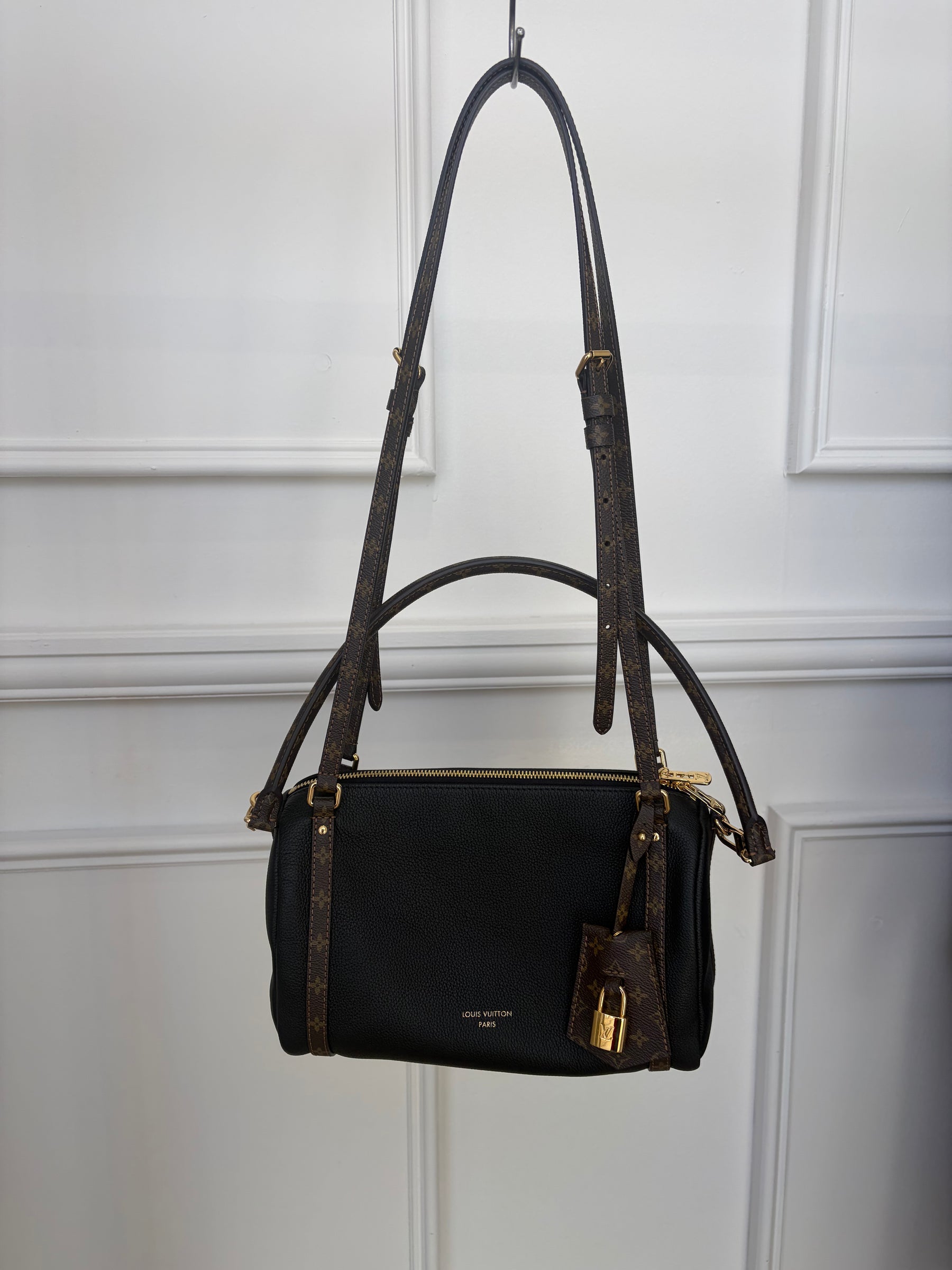 Louis Vuitton Monogram Express MM Bag