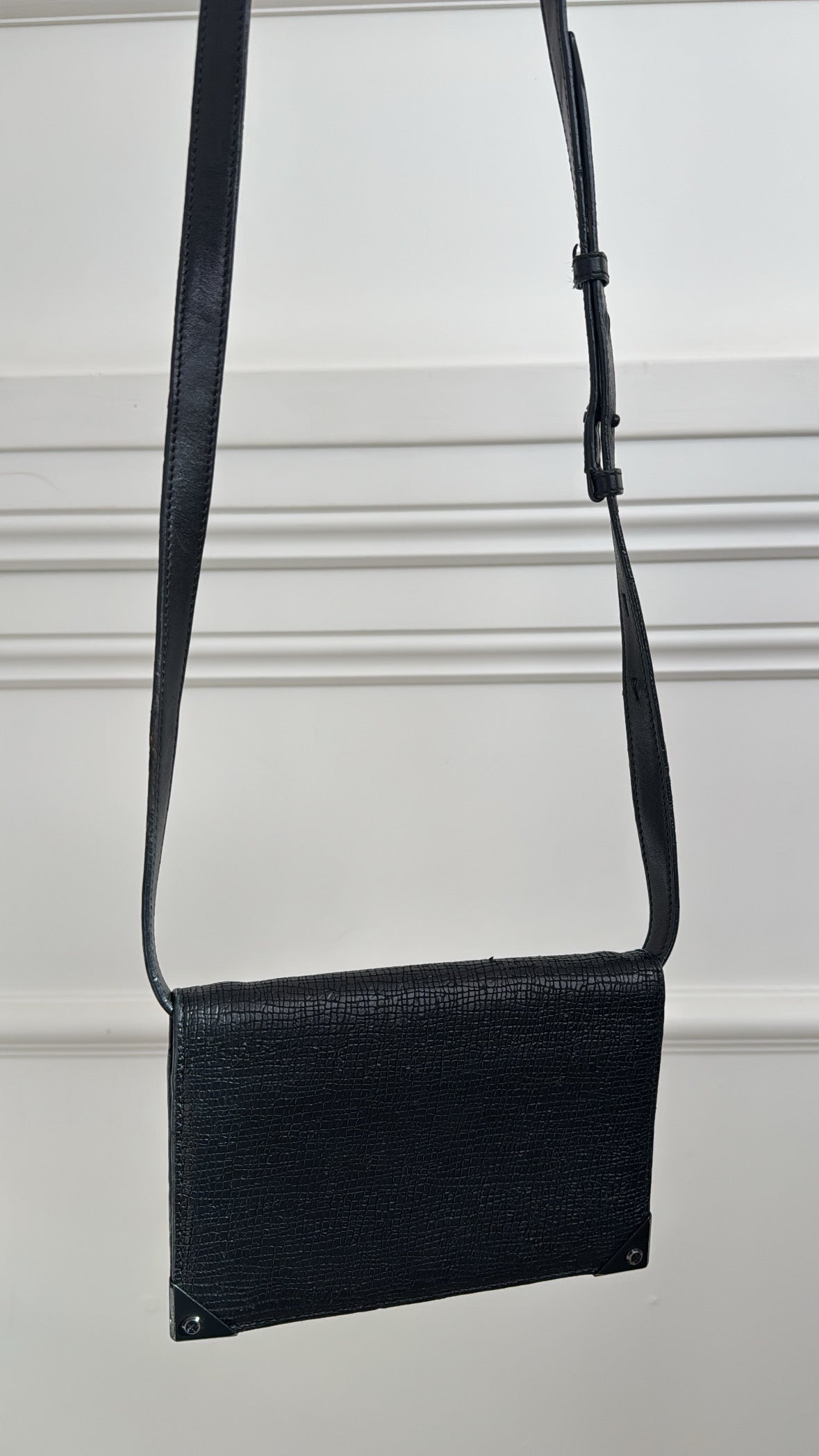 Alexander Wang Grained Belt  WOC