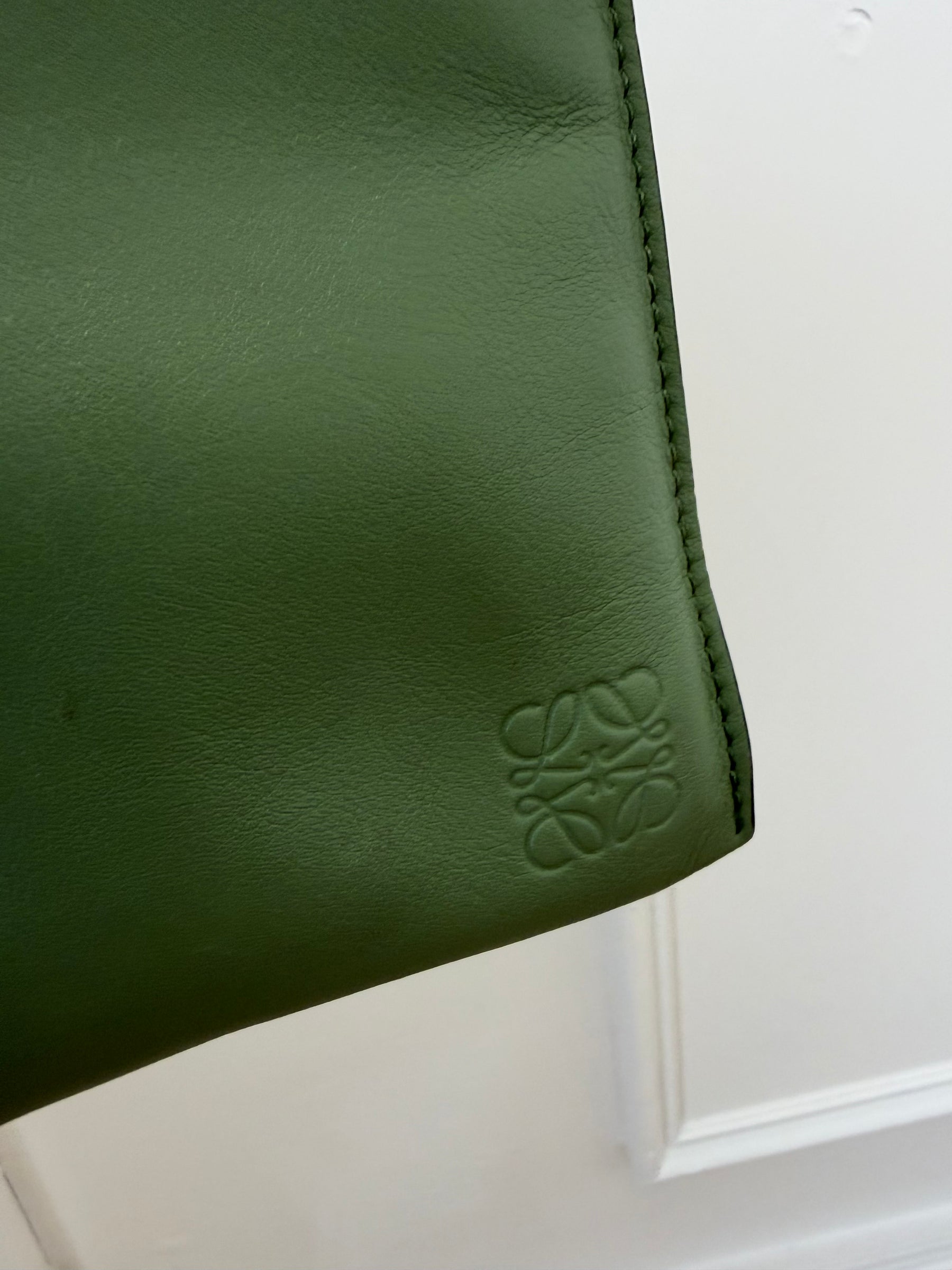 Loewe Green Leather Cross Body Pouch