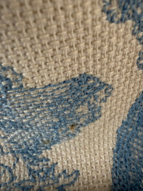 Dior Blue and Cream Toile De Jouy Small Book Tote