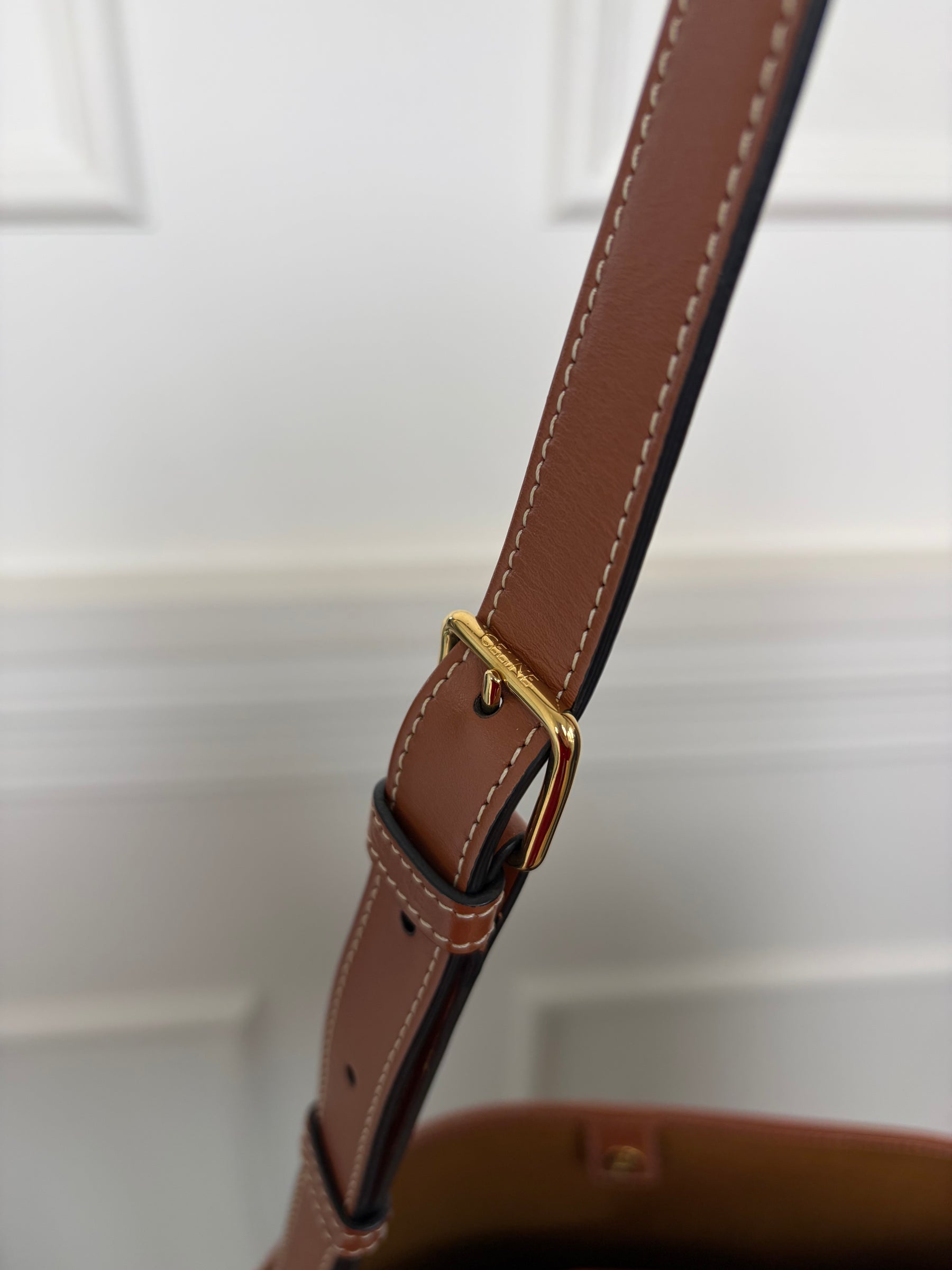 Celine Medium Bucket Bag in Triomphe Canvas and Tan Calfskin