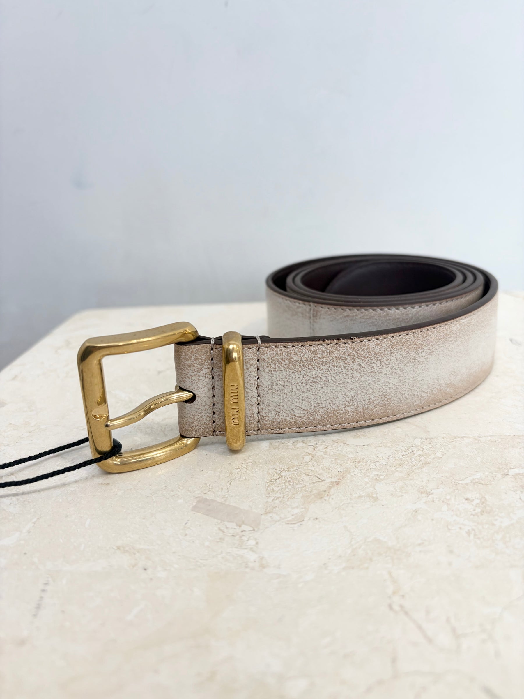 Miu Miu Distressed Beige Finish And Gold Tone Engraved Hardware, 32/80
