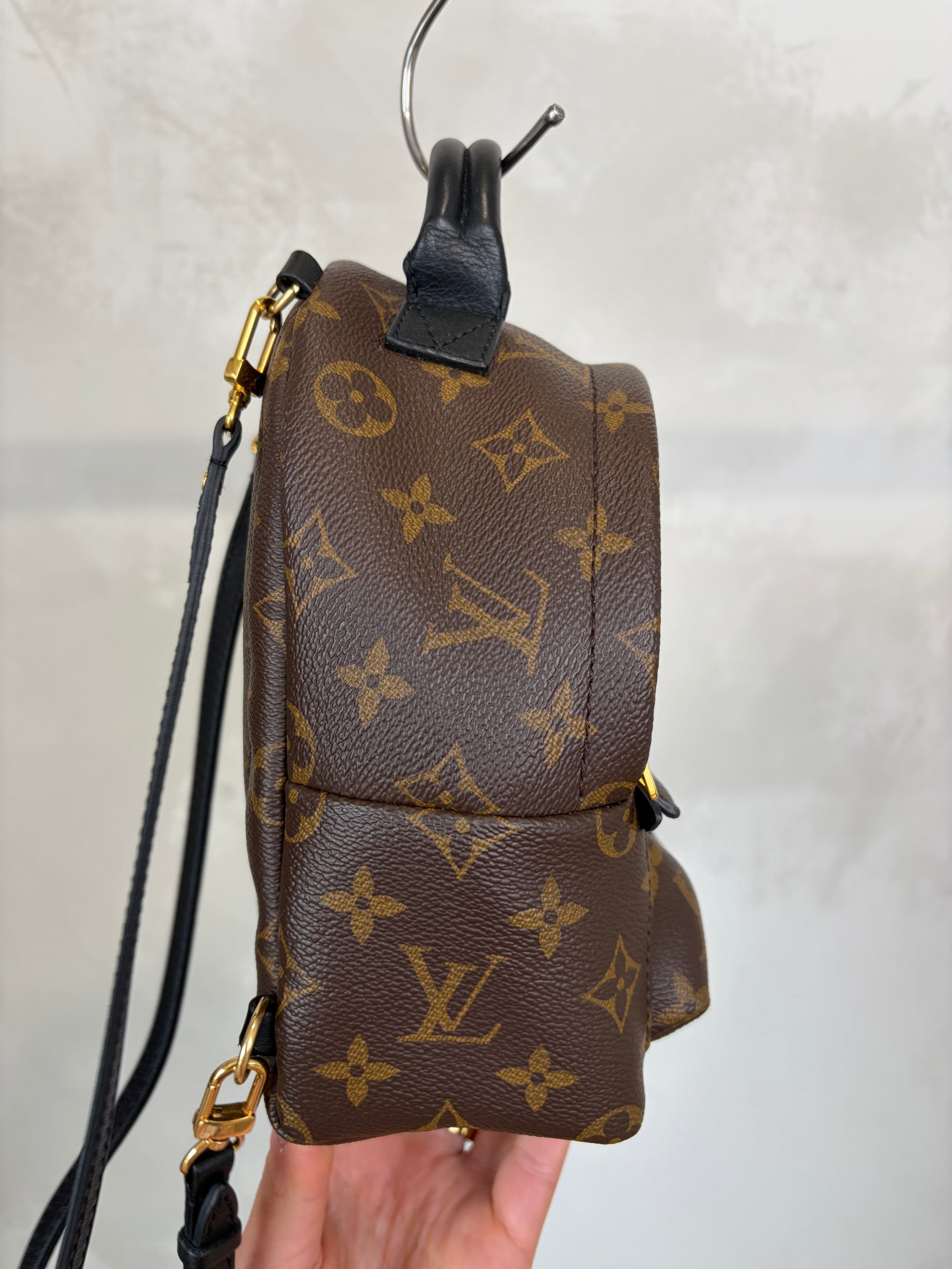 Louis Vuitton Canvas Monogram Mini Palm Springs Backpack