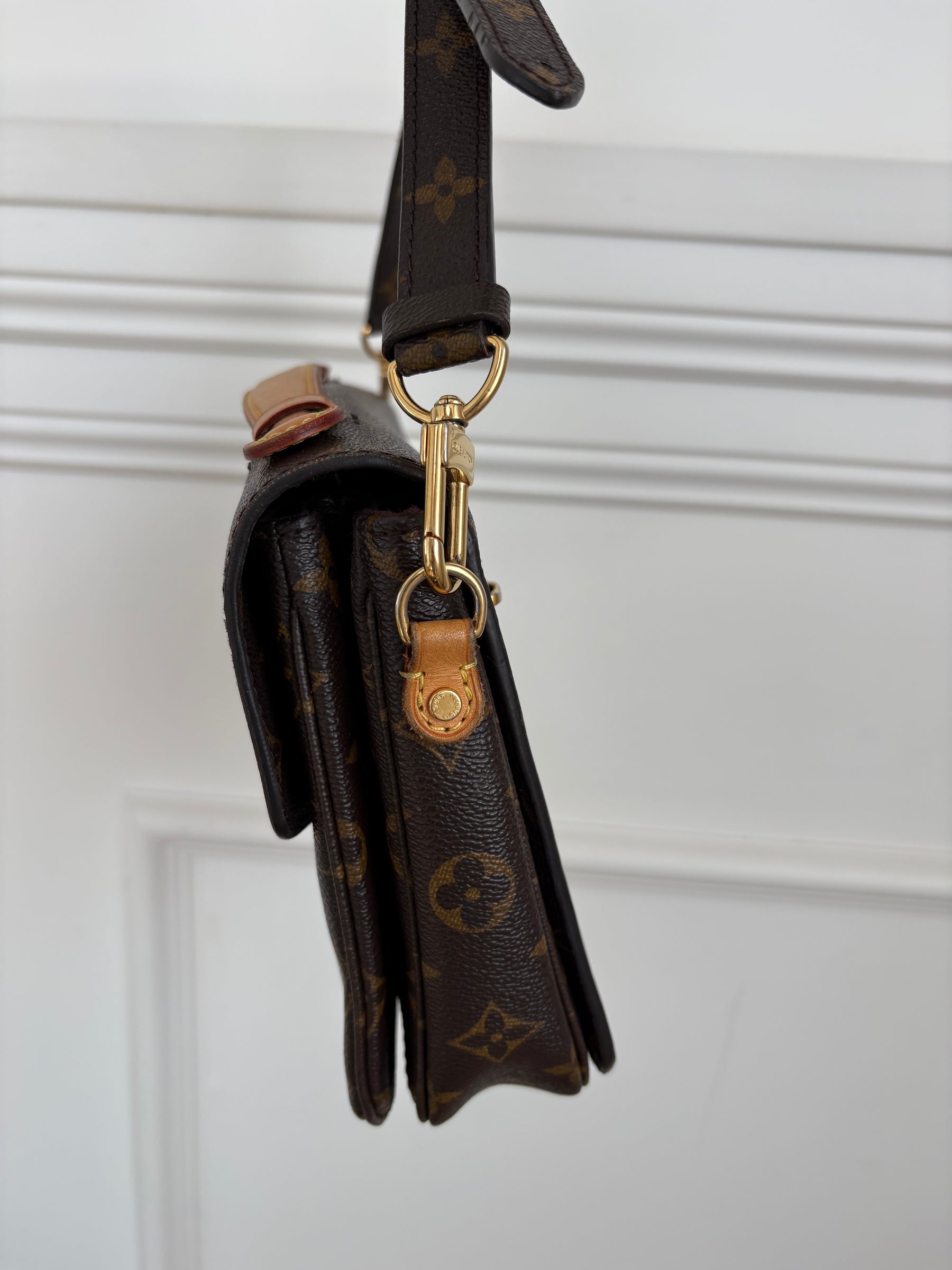 Louis Vuitton Canvas Monogram Pochette Metis