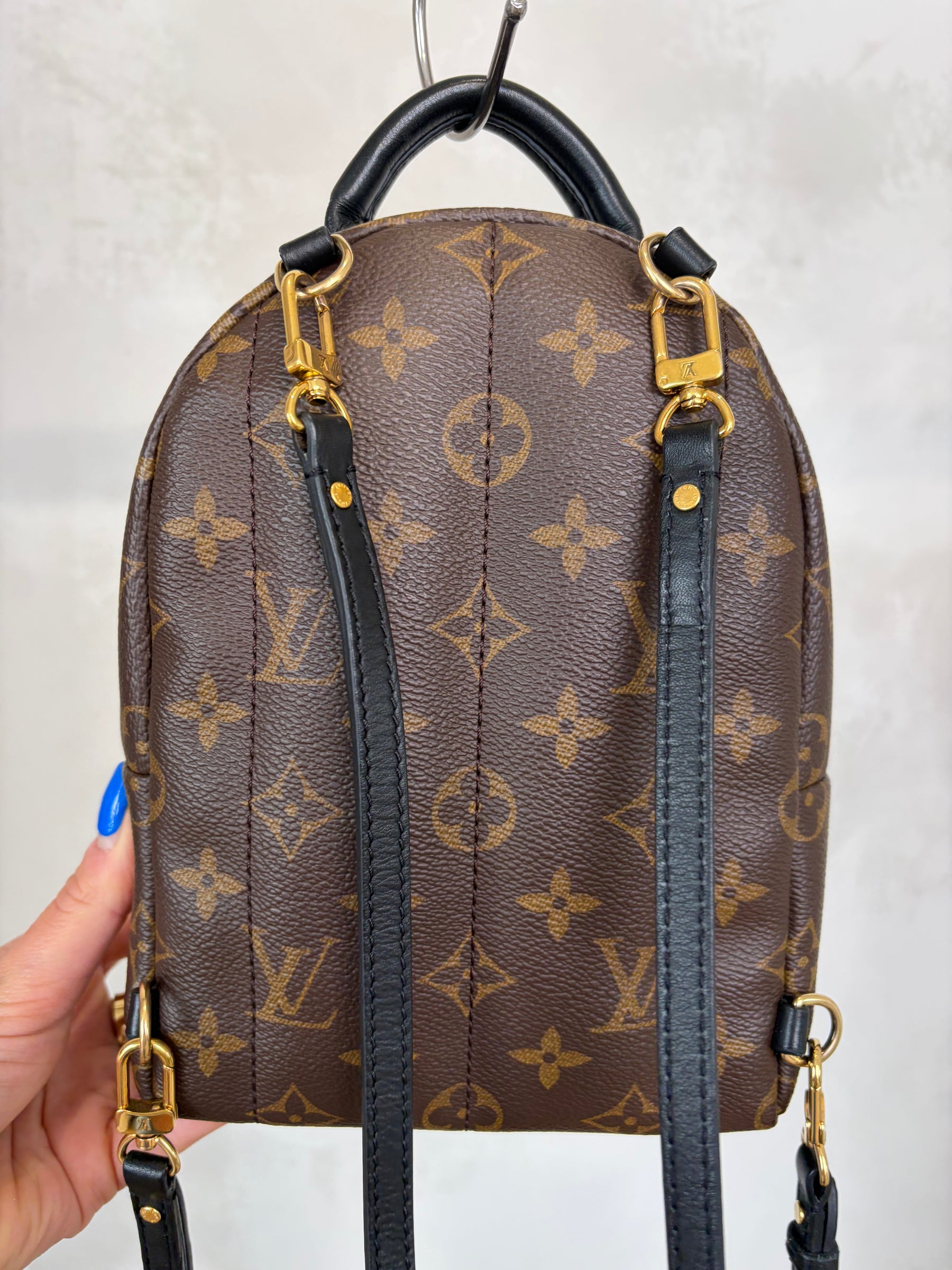 Louis Vuitton Canvas Monogram Mini Palm Springs Backpack