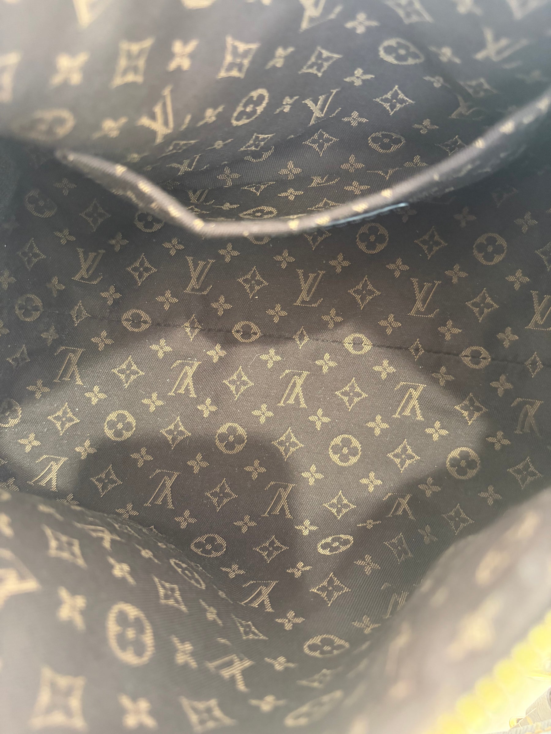 Louis Vuitton Monogram Express MM Bag