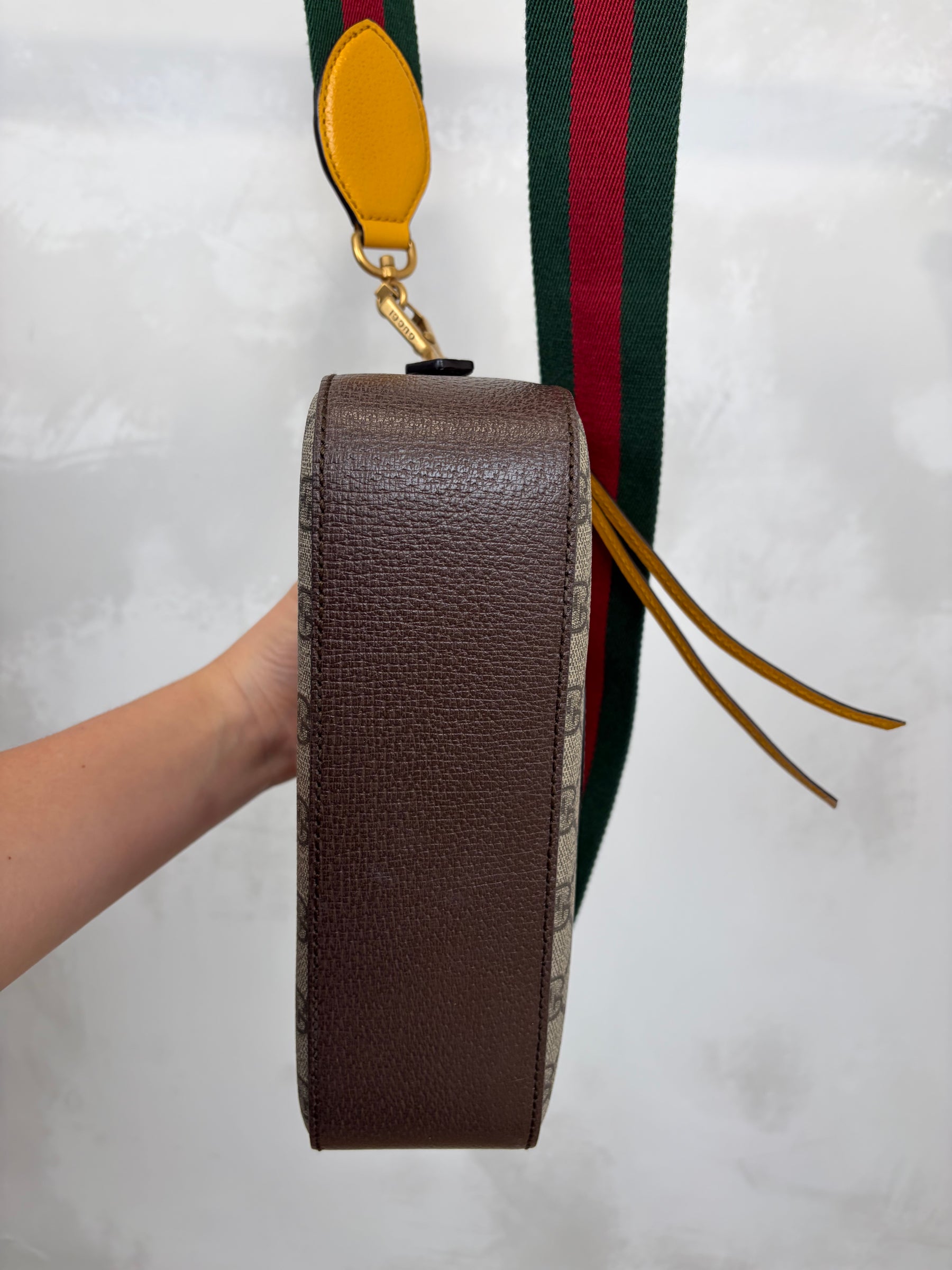 Gucci Canvas Supreme Monogram Tiger Camera Bag