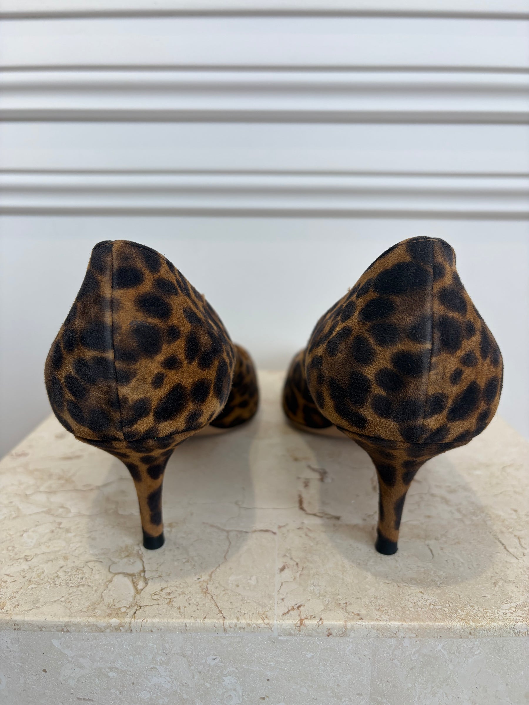 Gianvito Rossi Leopard Print Kitten Heel Pumps, 41