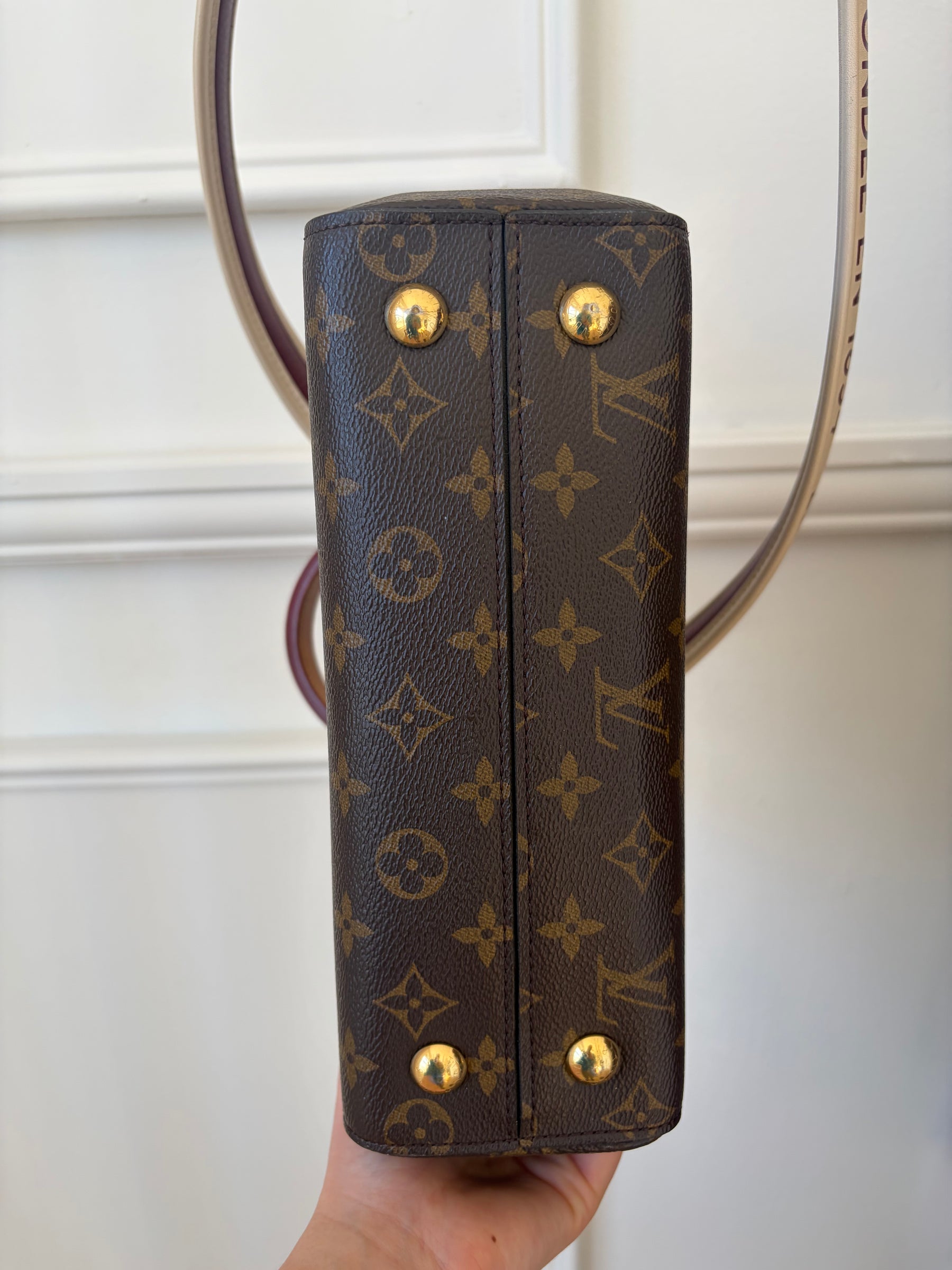 Louis Vuitton Canvas Monogram Cluny BB Bag
