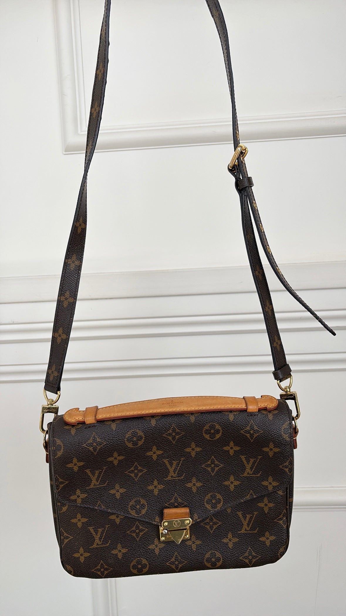 Louis Vuitton Canvas Monogram Pochette Metis