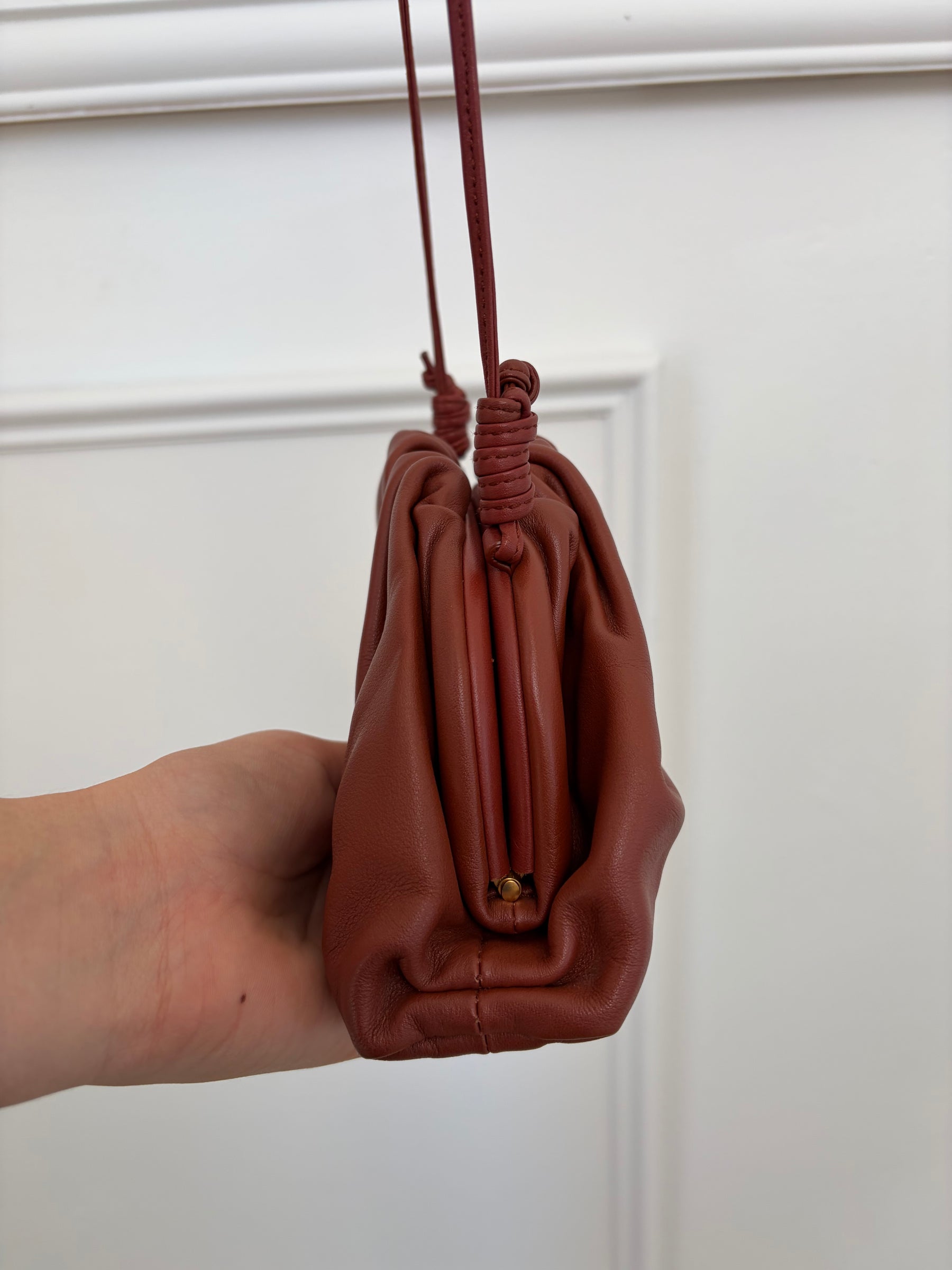 Bottega Veneta Mini Pouch Bag In Brick Red