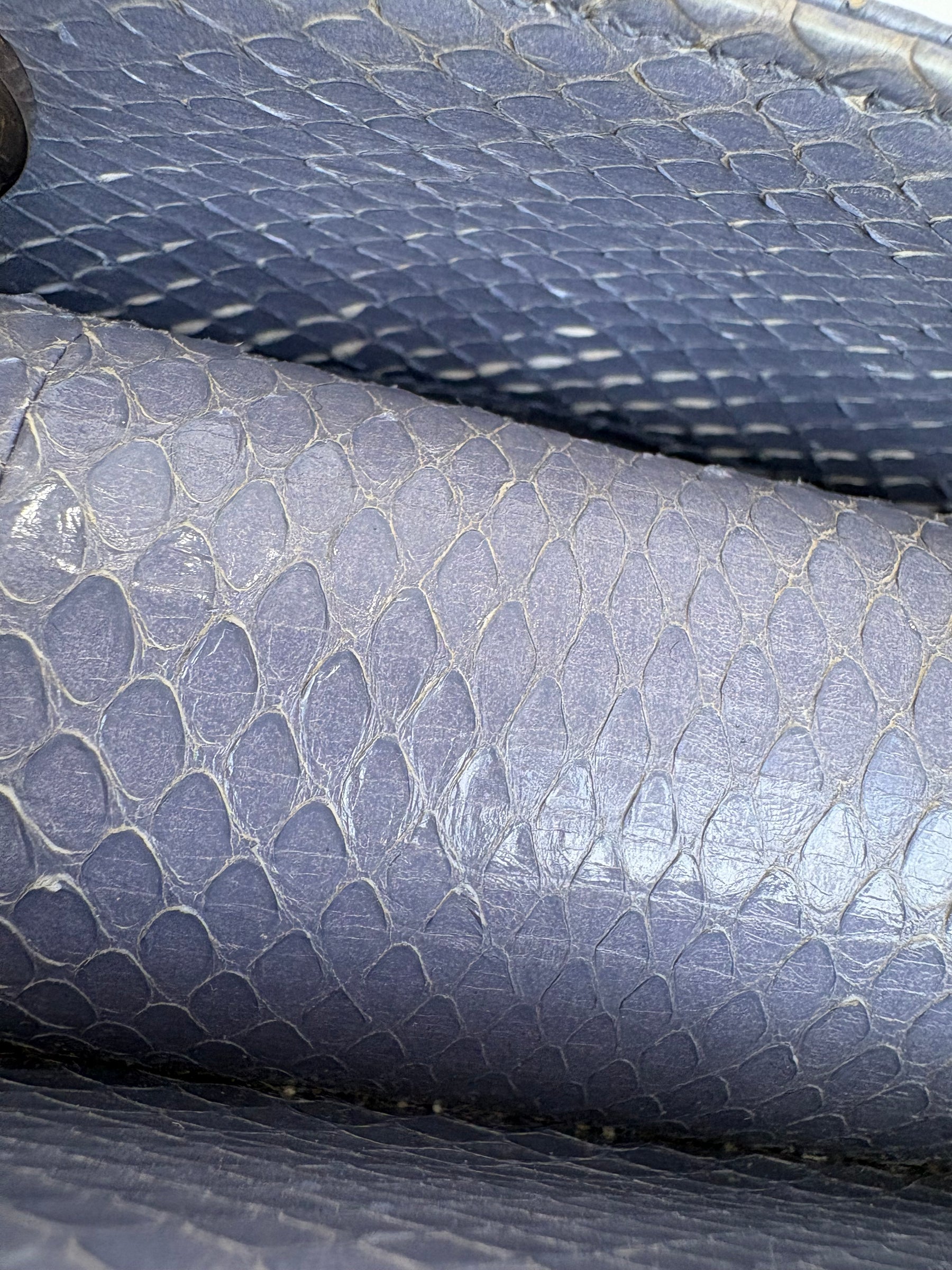 Dior Blue Watersnake Mini Lady Dior