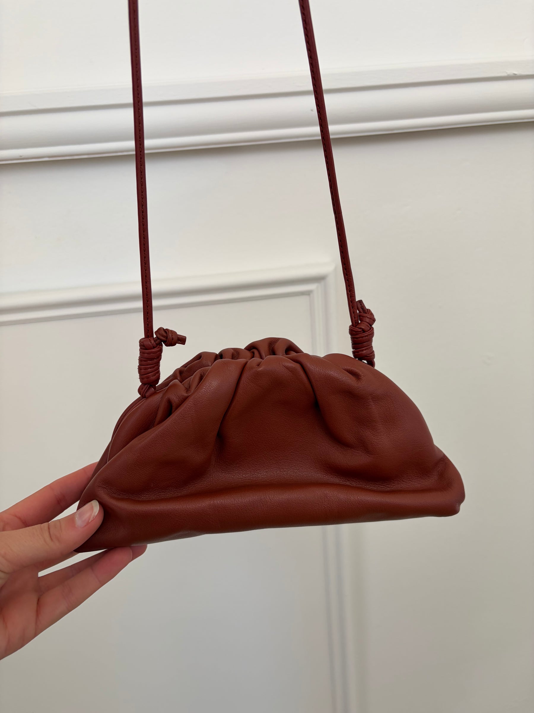 Bottega Veneta Mini Pouch Bag In Brick Red