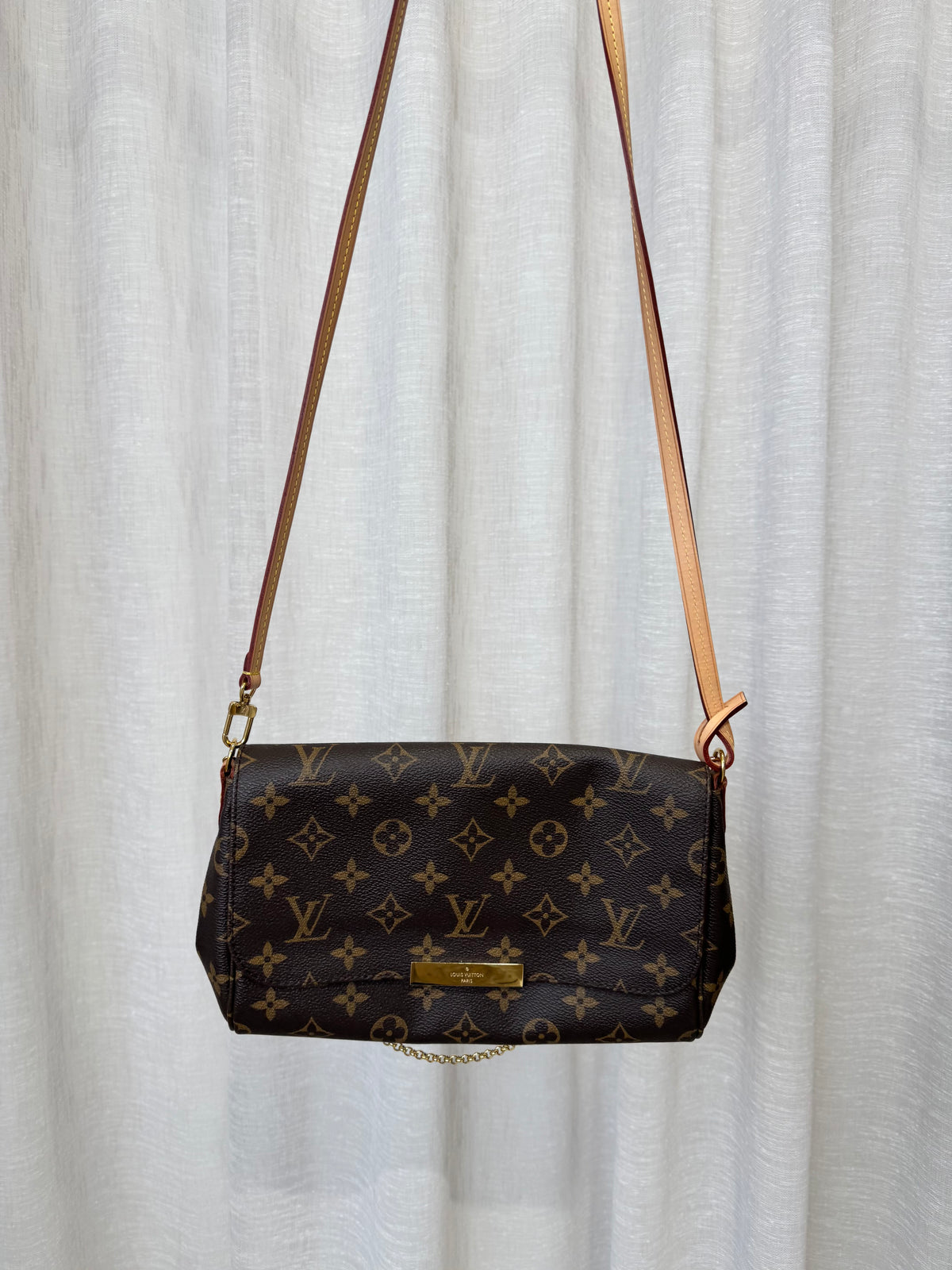 Louis Vuitton Canvas Monogram Favourite MM Bag