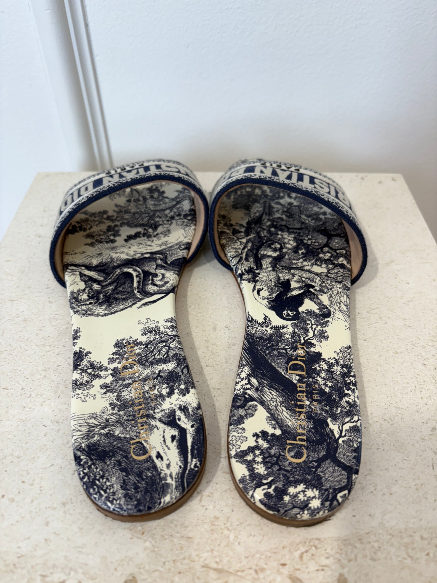 Dior Blue and White Toile De Jouy Slides, 39
