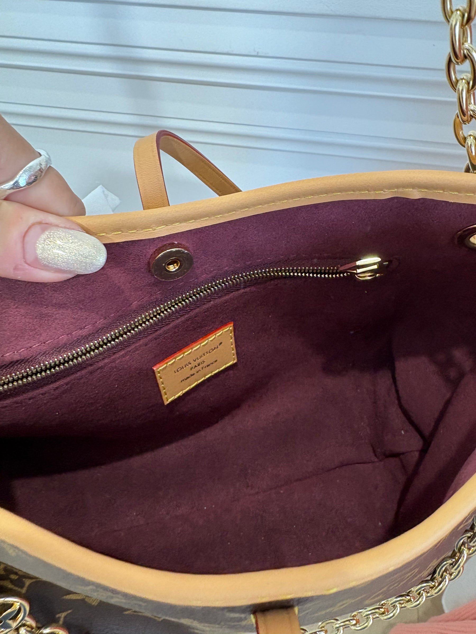 Louis Vuitton Monogram Canvas Carrya BB Bag