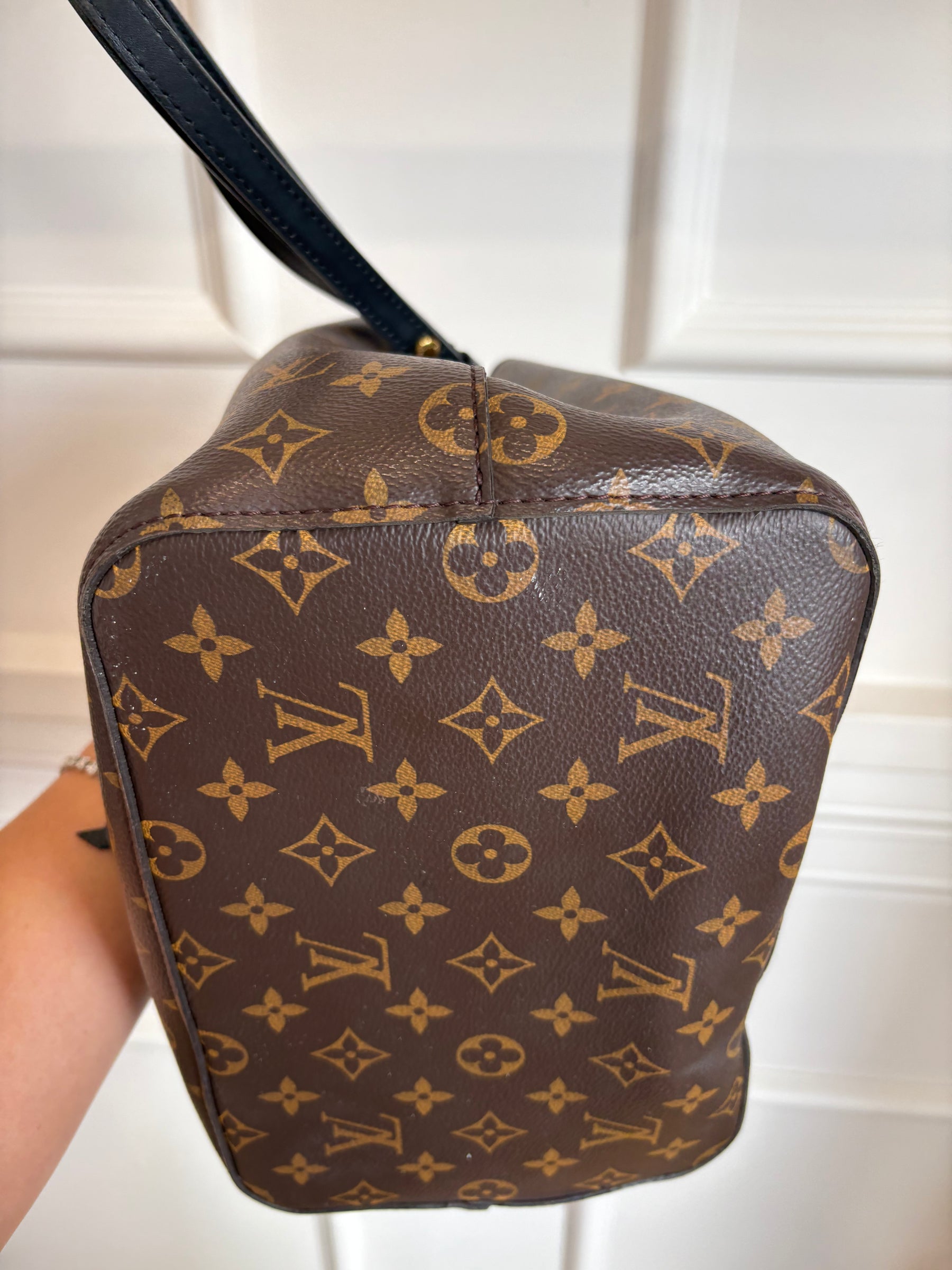 Louis Vuitton NéoNoé Monogram Bucket Bag