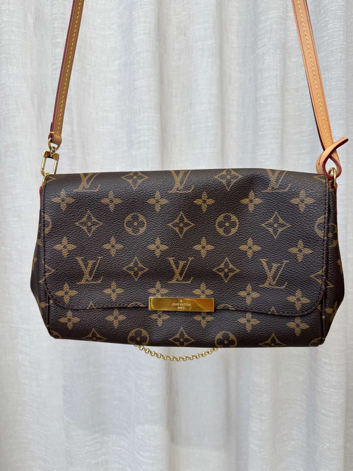 Louis Vuitton Canvas Monogram Favourite MM Bag